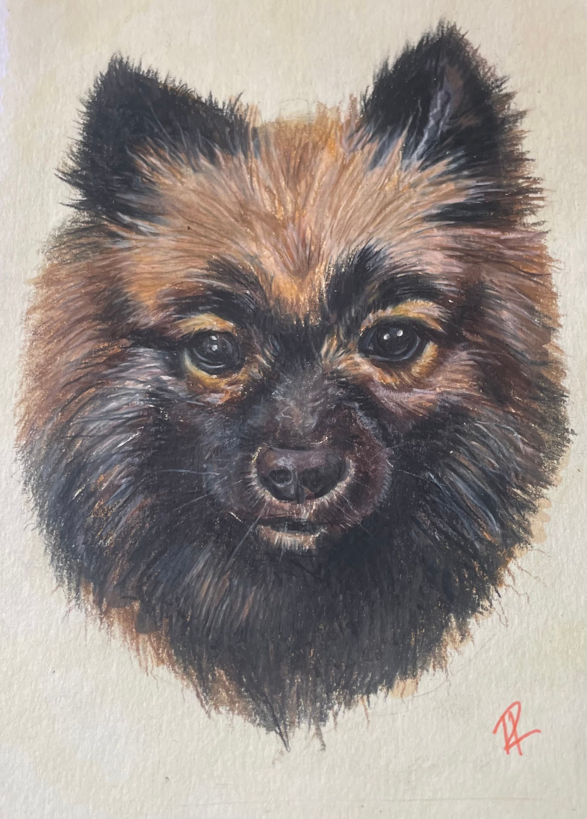 Gigi — Colored Pencil by Hannah Remboldt