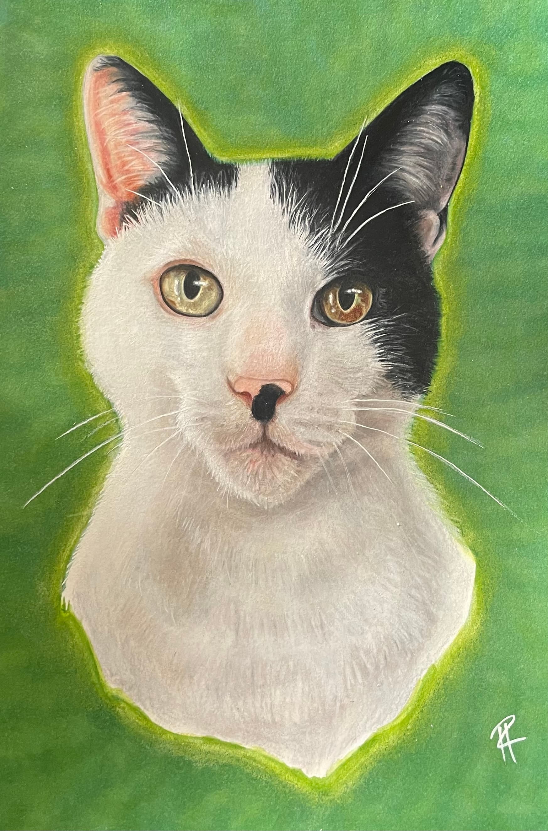 Houdini — Colored Pencil by Hannah Remboldt