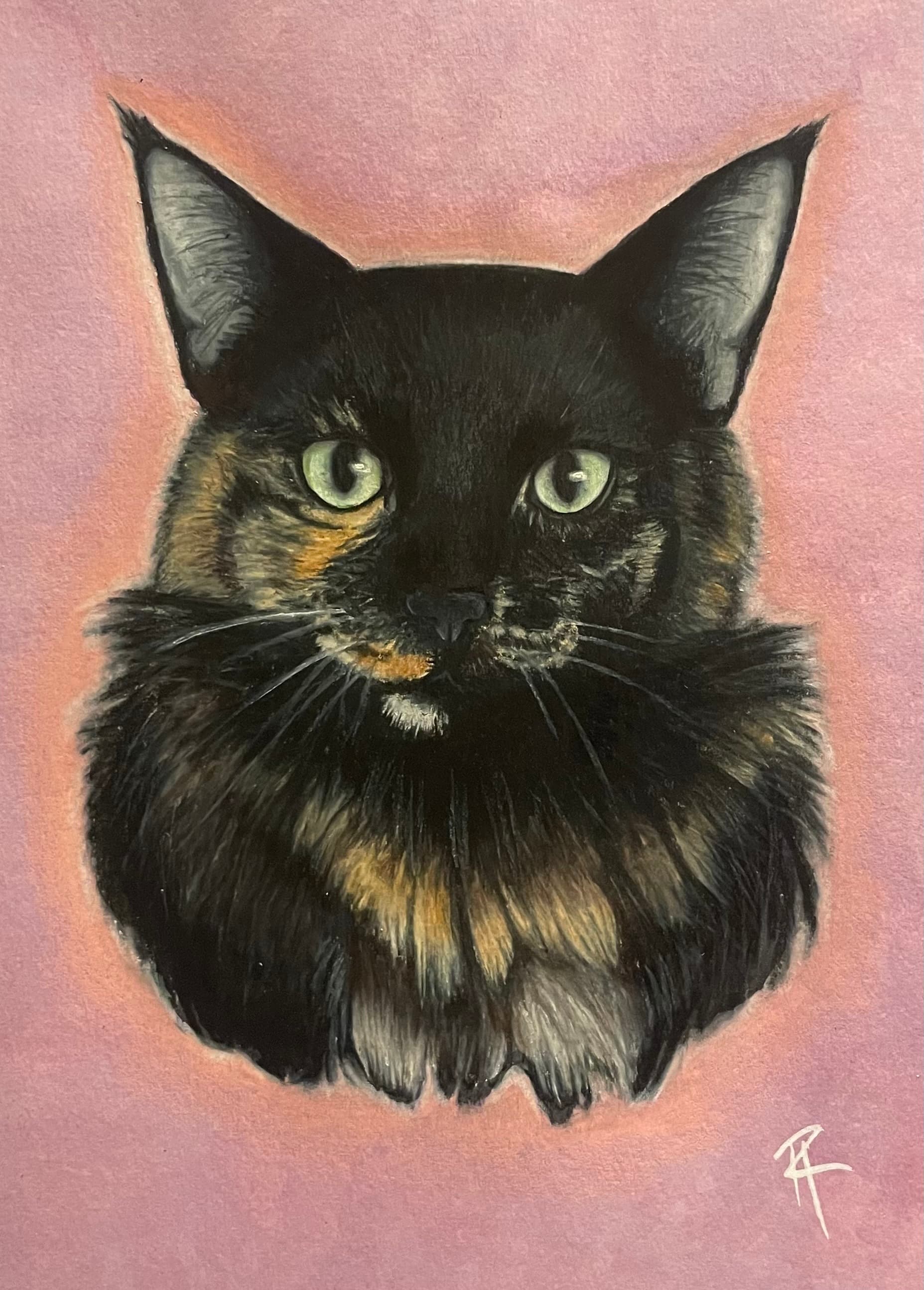 Missy — Colored Pencil by Hannah Remboldt