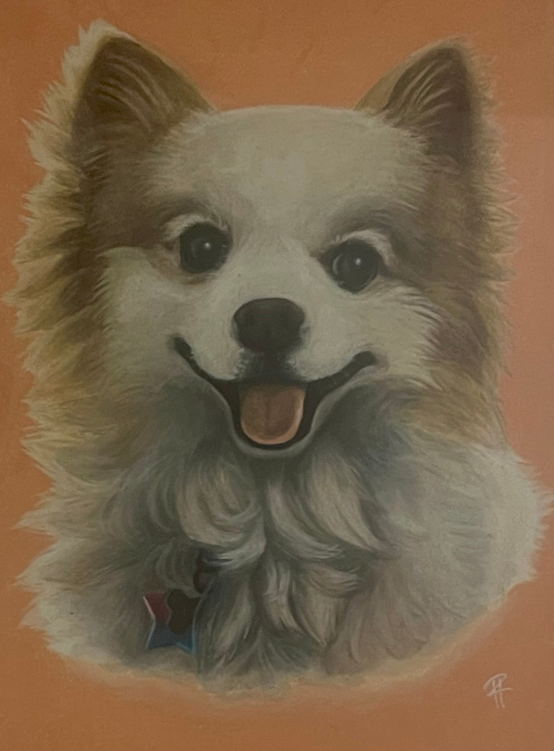 Nala — Colored Pencil by Hannah Remboldt