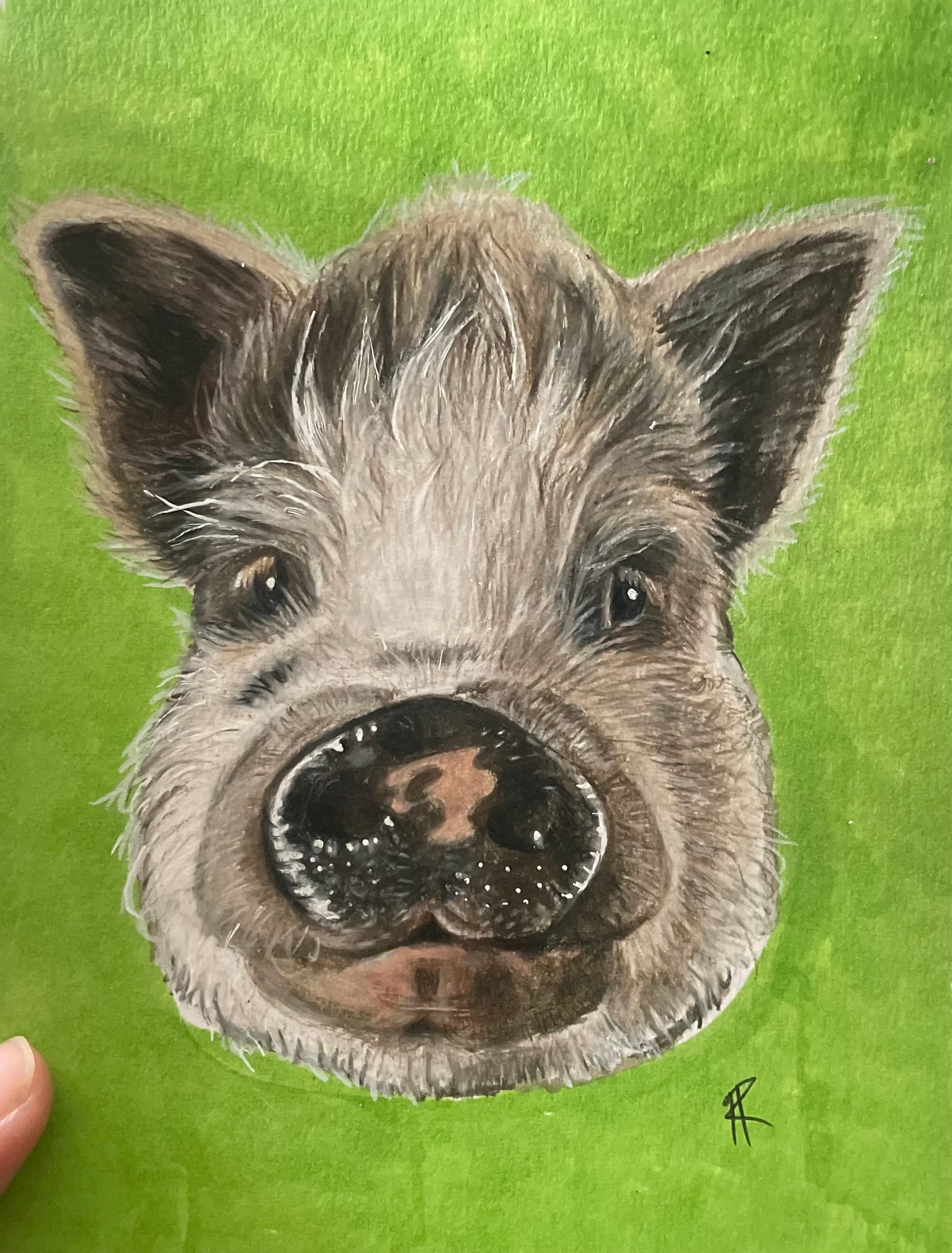 Percy — Colored Pencil by Hannah Remboldt
